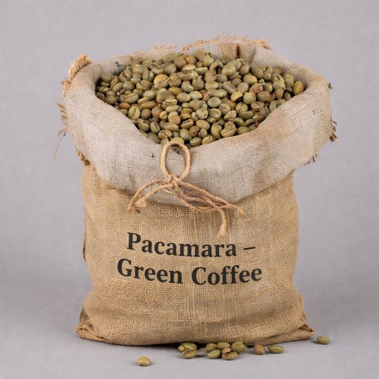 Pacamara – Green Coffee