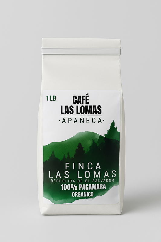 Pacamara – Green Coffee (Unroasted, 5lb)